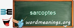 WordMeaning blackboard for sarcoptes